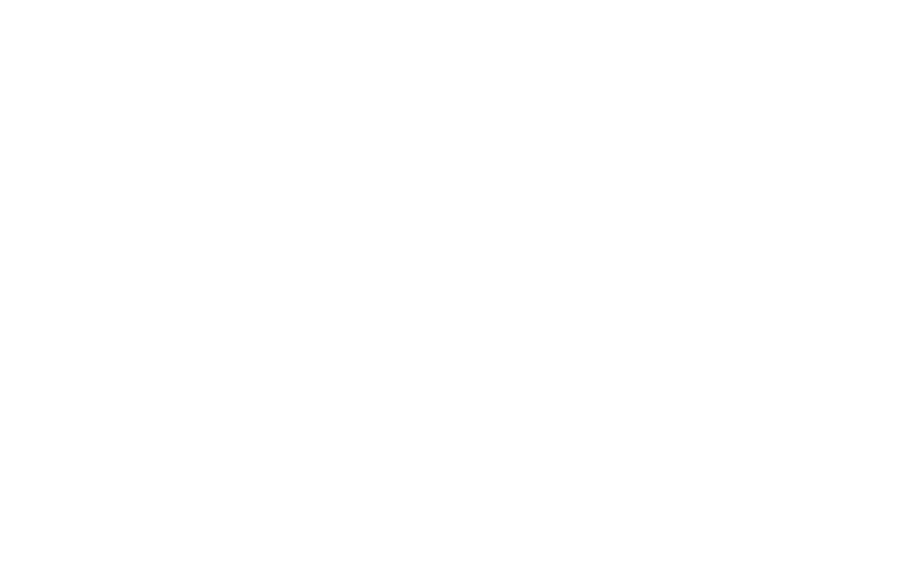 Camvox Logo